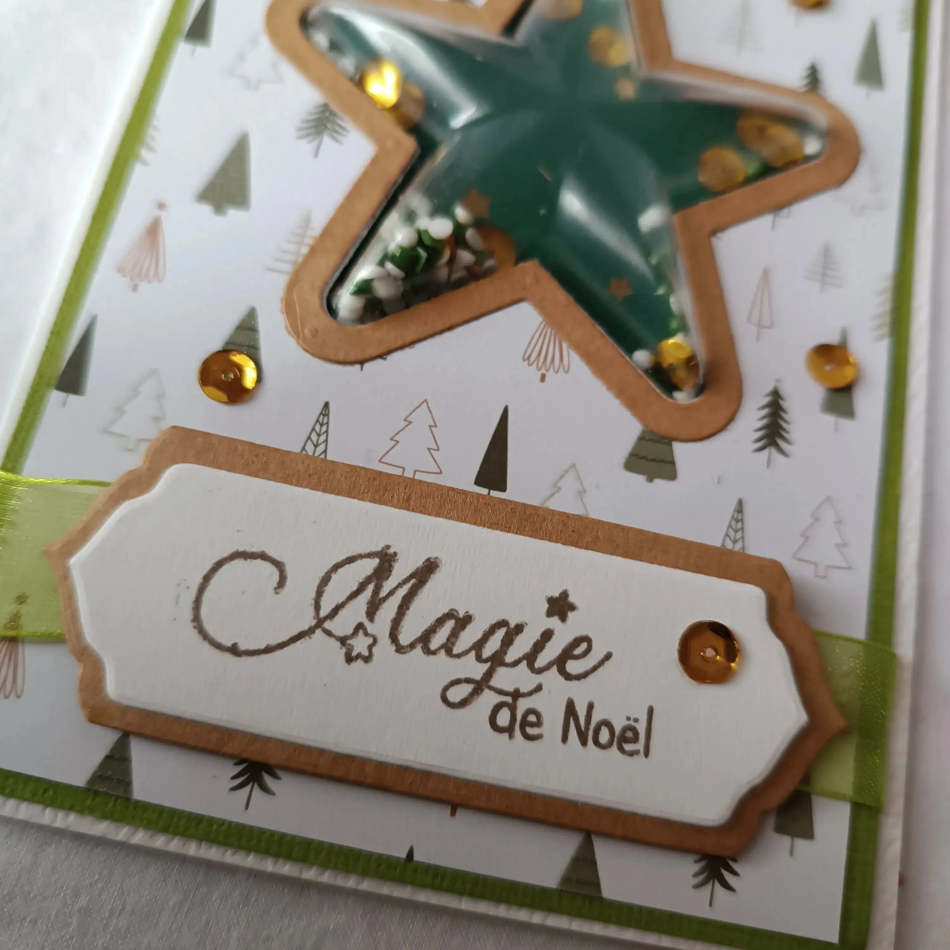 carte de noël à secouer verte et kraft de L’Atelier de Lili la souris - Carte de vœux - carte de vœux 2024 - carte de noël - carte de noël 2024 - idée cadeau noël - cadeau noël 2024 - meilleurs vœux - vœux de nouvelle année 2025